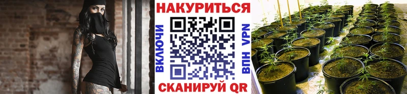 Купить закладку Бошки Шишки  СК  ГАШИШ  МЕФ  Котовск