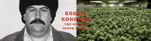 прущая мука Инсар