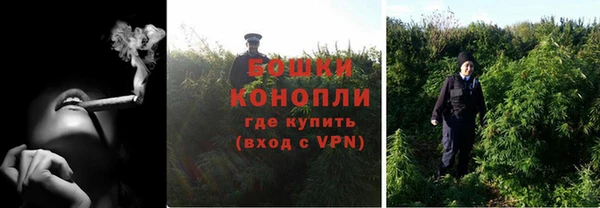 прущая мука Инсар