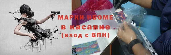 прущая мука Инсар