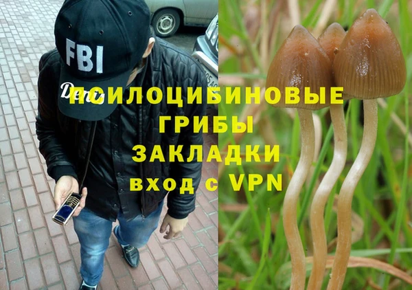 мяу мяу кристалл Инта