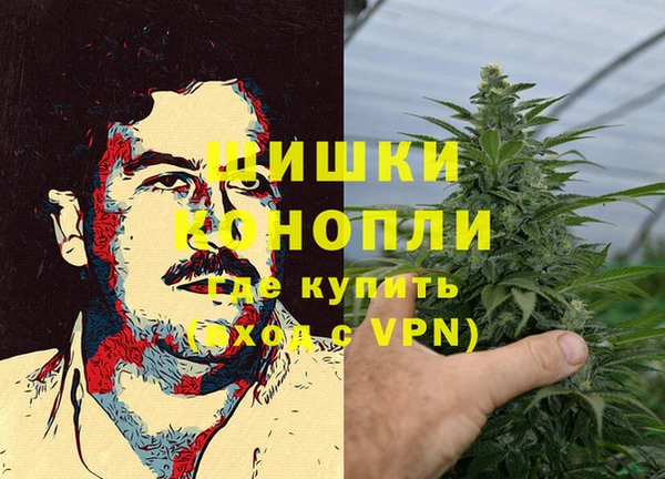прущая мука Инсар